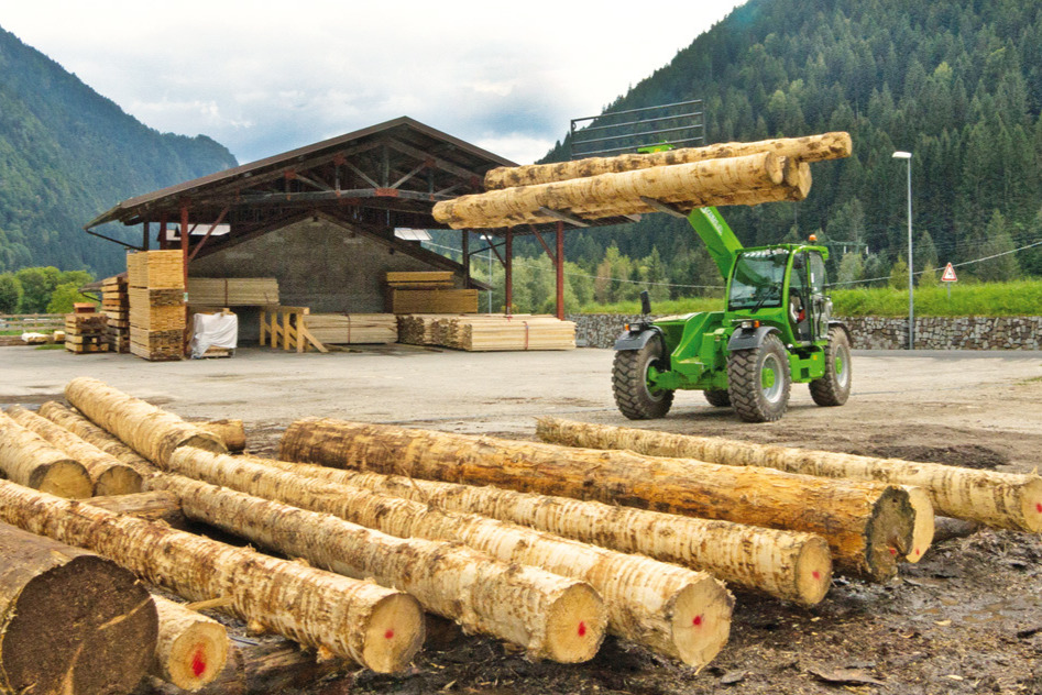 Un jolly tutto verde tra i verdi boschi del Trentino