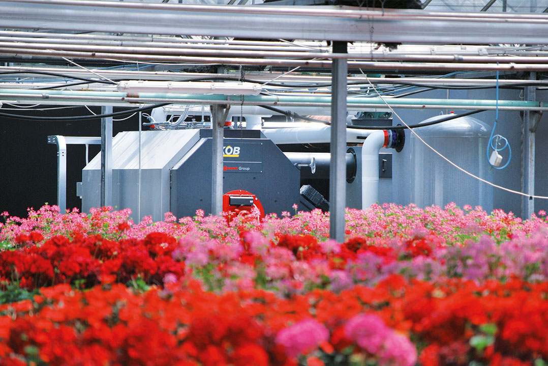 Caldaia a biomassa per l’efficientamento delle serre della Floricoltura Alberti
