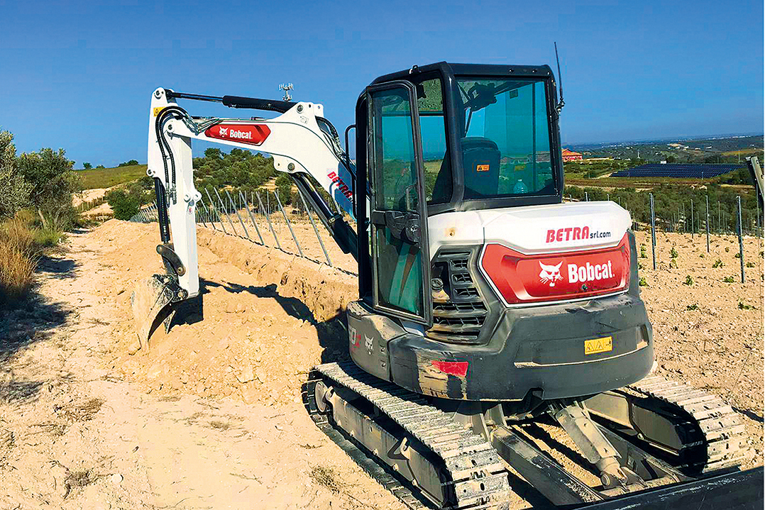 Bobcat: a passeggio tra i vigneti siciliani