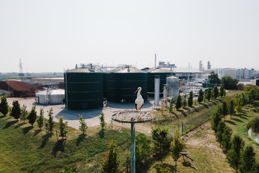 Carbon footprint: Gruppo Caviro annuncia il prossimo ambizioso obiettivo