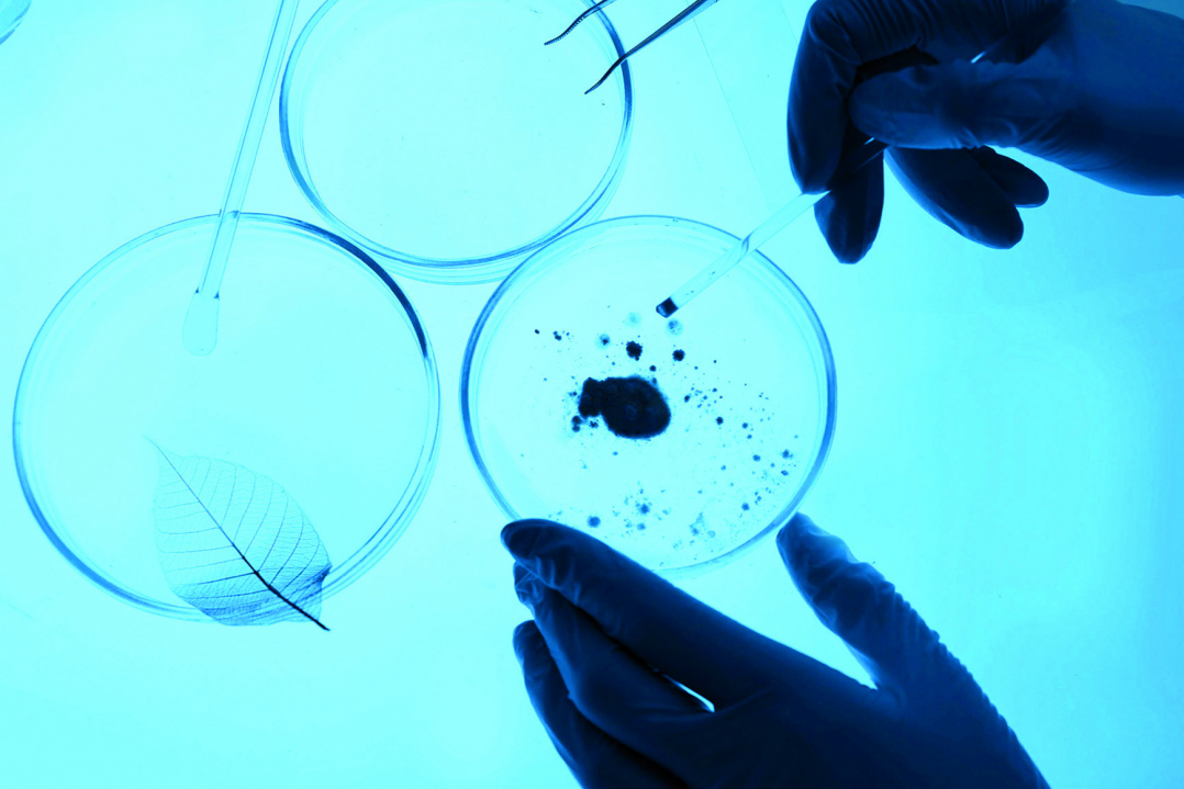 Biogas: produzione più efficiente grazie alle biotecnologie