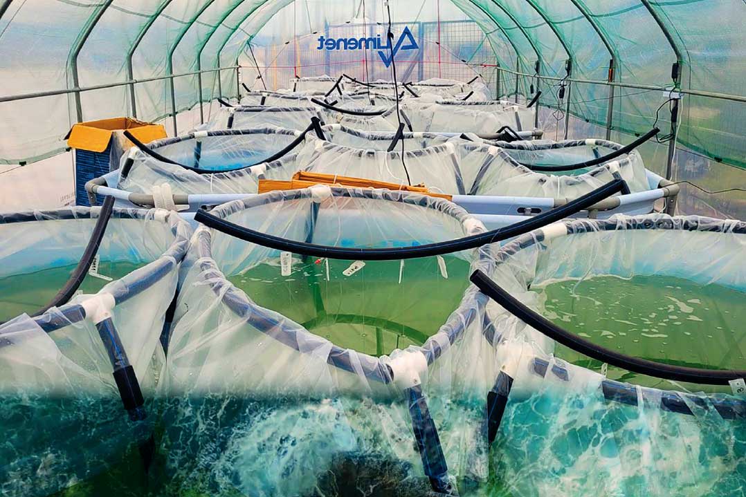 Energia dal mare
