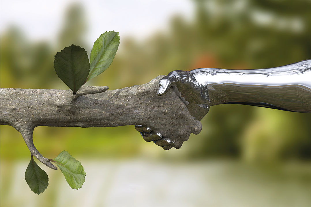 Un valore (ine)stimabile
