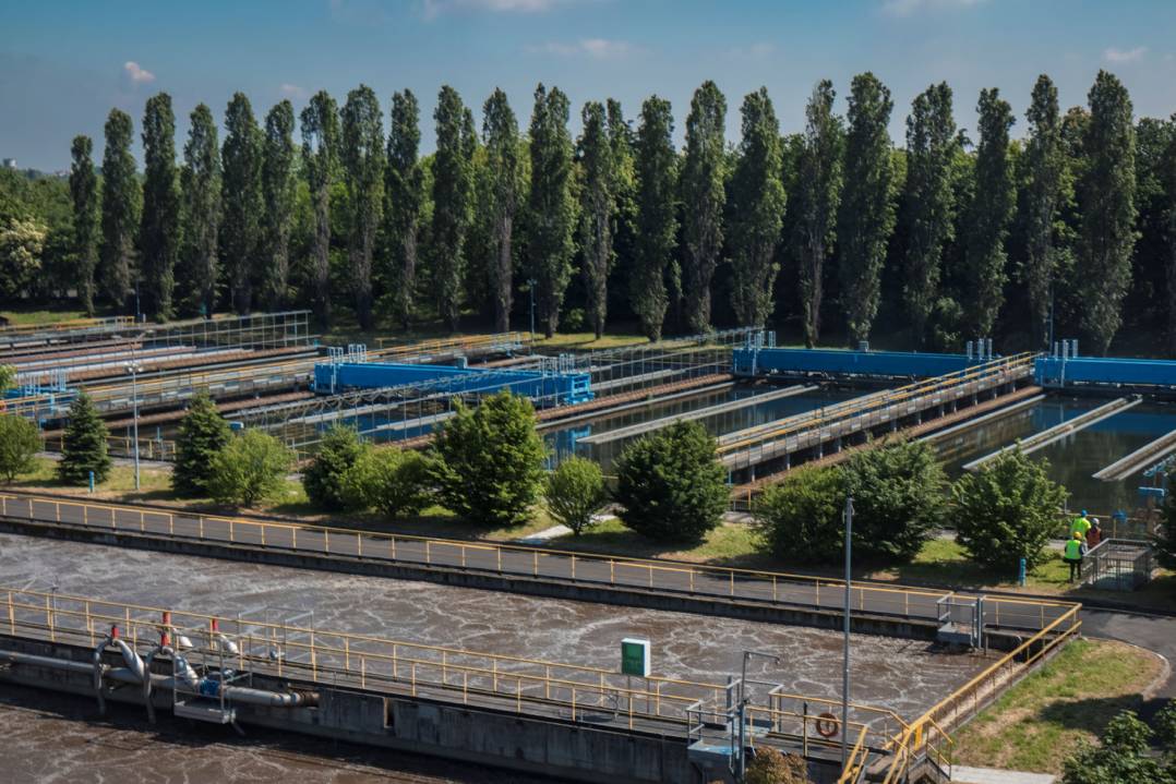 CAP Evolution e Parco Nord insieme per l’ambiente