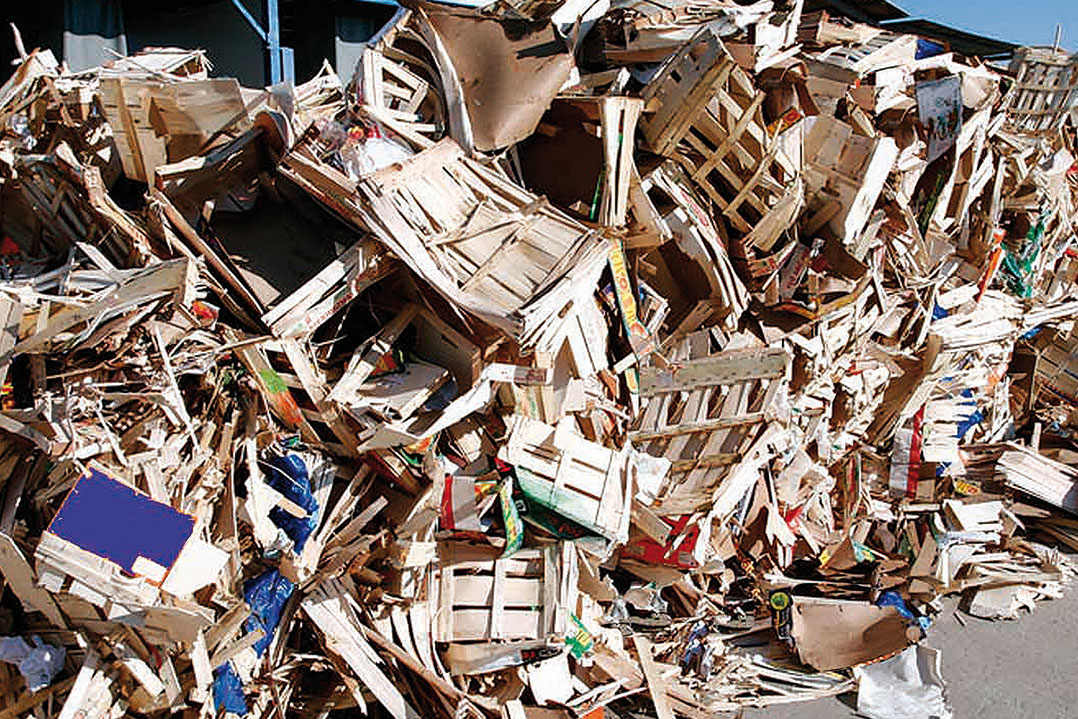 Energia del legno: cogenerazione biomasse e gassificazione