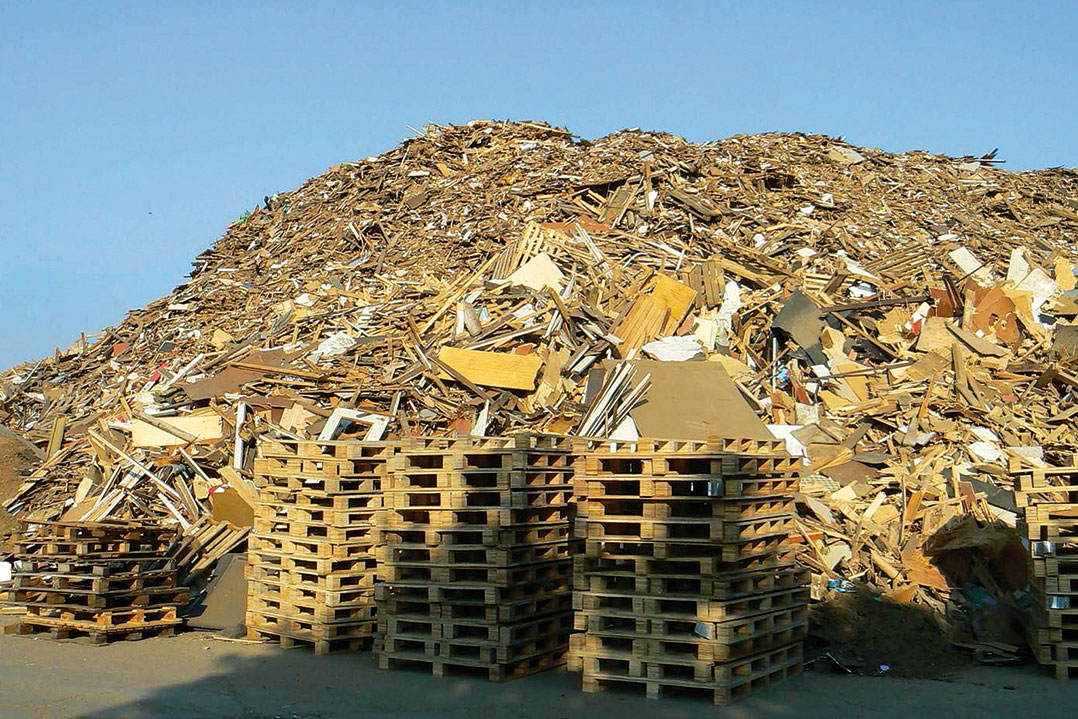 Legno: economia lineare e circolare