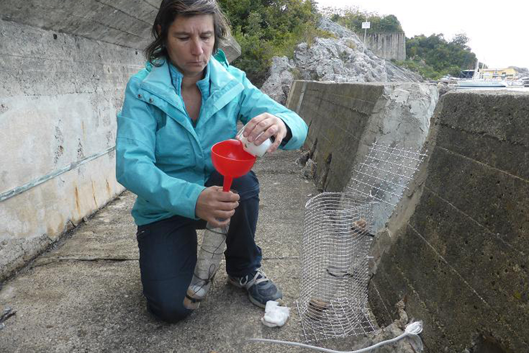 La plastica come tracciante dell’inquinamento marino