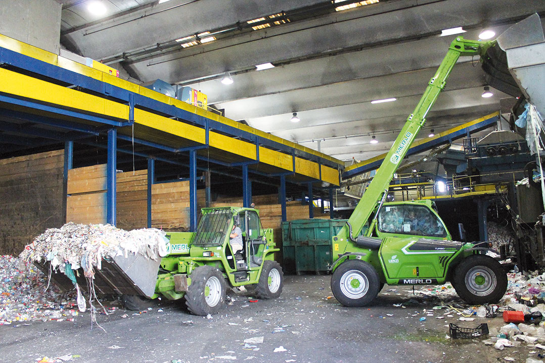 Merlo: un unico gruppo per la  movimentazione in ecologia