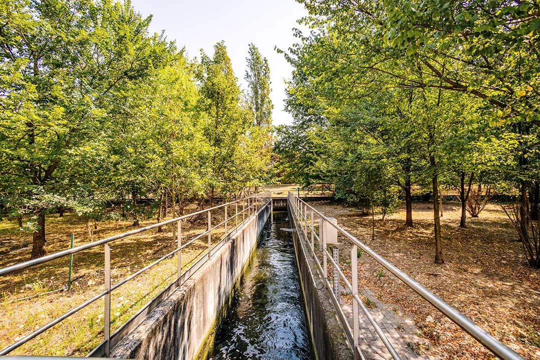 Siccità: a Milano acqua depurata per inaffiare il Parco Nord