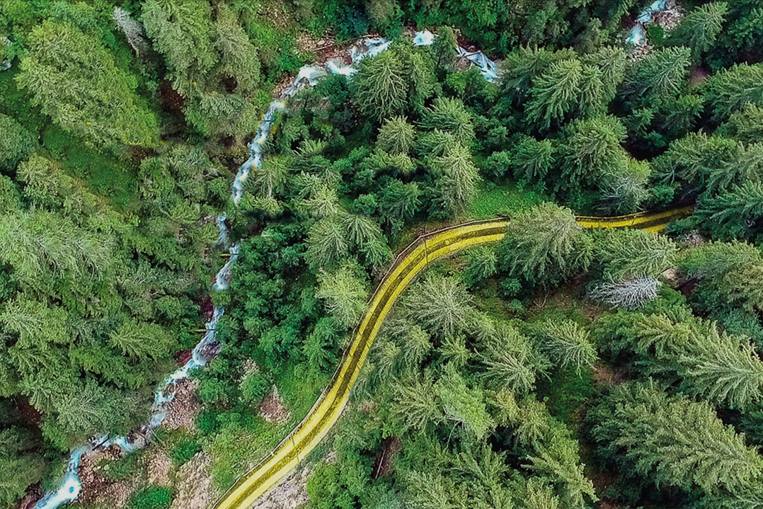 Yellow is the new green