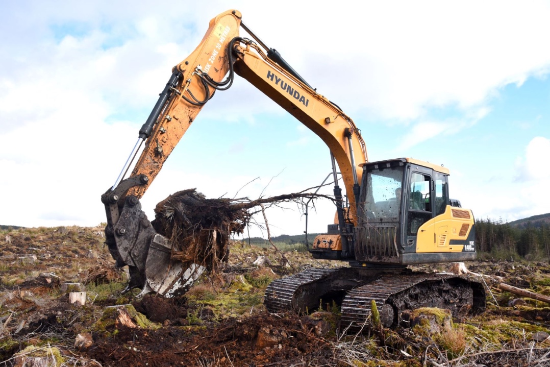 Carron Valley Plant sceglie gli escavatori Hyundai a telaio alto per le impegnative attività forestali