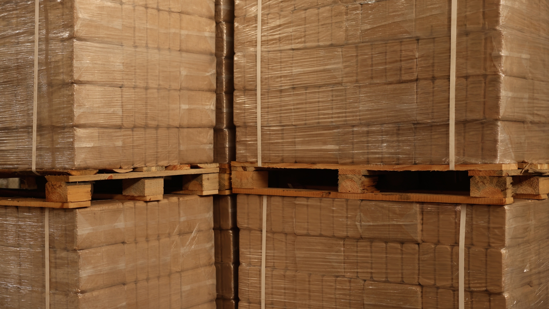 Erion Packaging: nel 2025 oltre 30.000 tonnellate di rifiuti di imballaggi riciclati, in crescita del +32%